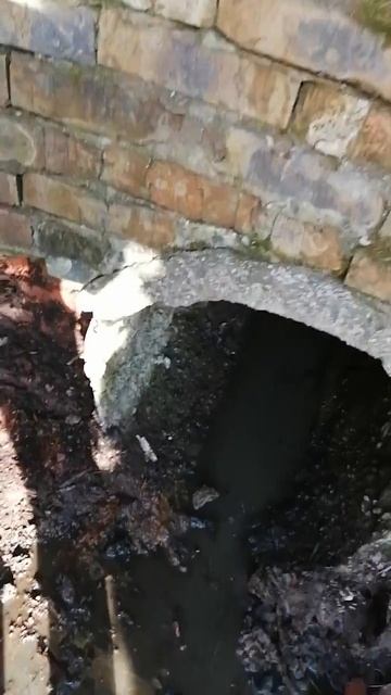 53e48fe0-ca83-4298-af99-4d5497b56e5b-1_all_1220.mp4