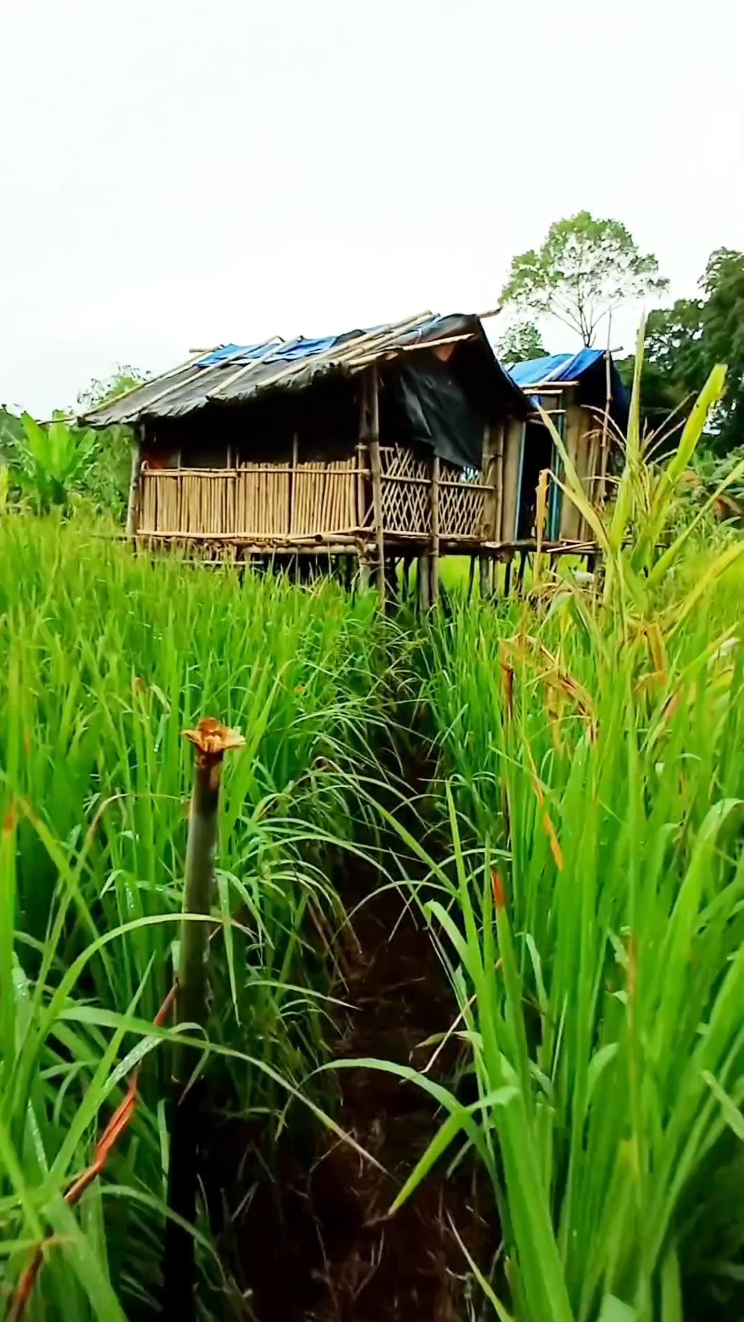 ВСЕ ЖЕ ВЕРУЮЩИЕ БЫЛИ ВМЕСТЕ  ДЕЯНИЯ 2:44.