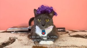 lotkov игра котики в школе (лотков)