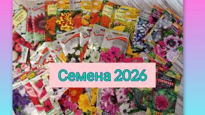 Закупка семян цветов 2026 🌺/ Приехала теплица для рассады/ Обзор семян