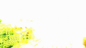 НОВОЕ ИНТРО 2026 - н.в