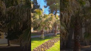 В Геленджике сегодня жара, почти +20 и Южный ветер с моря 🐬😁👍