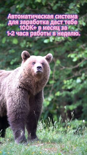 Первая сотня тысяч за месяц, как я это сделал