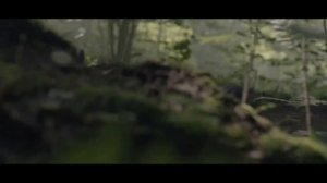 КОСТЕНКО РАССКАЗЫВАЕТ ПРО УБИЙЦУ ПЯТЕРЫХ ДЕТЕЙ - ЧЕРНОБЫЛЬ ЗОНА ОТЧУЖДЕНИЯ 2