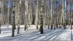 Videoshop_2026-02-07_21-08-09-445