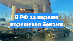 В РФ за неделю подешевел бензин
