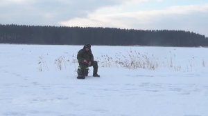 Применяю 6 прикормок в ловле плотвы в глухозимье на озере с хитрой плотвой - и выводы (2022г)