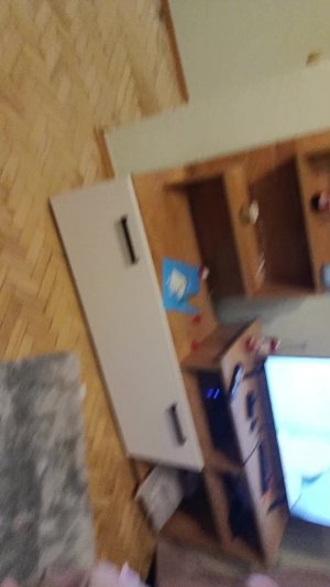 товарищеский матч денис-вика