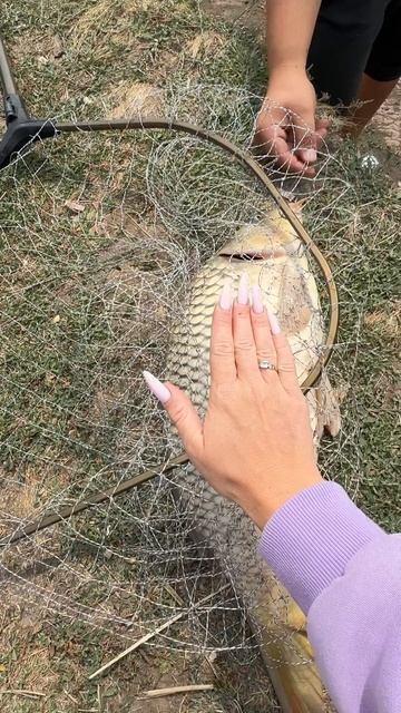 Нет ничего прекраснее рыбалки🎣❤️