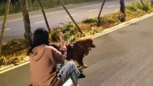 Твой китайский дед