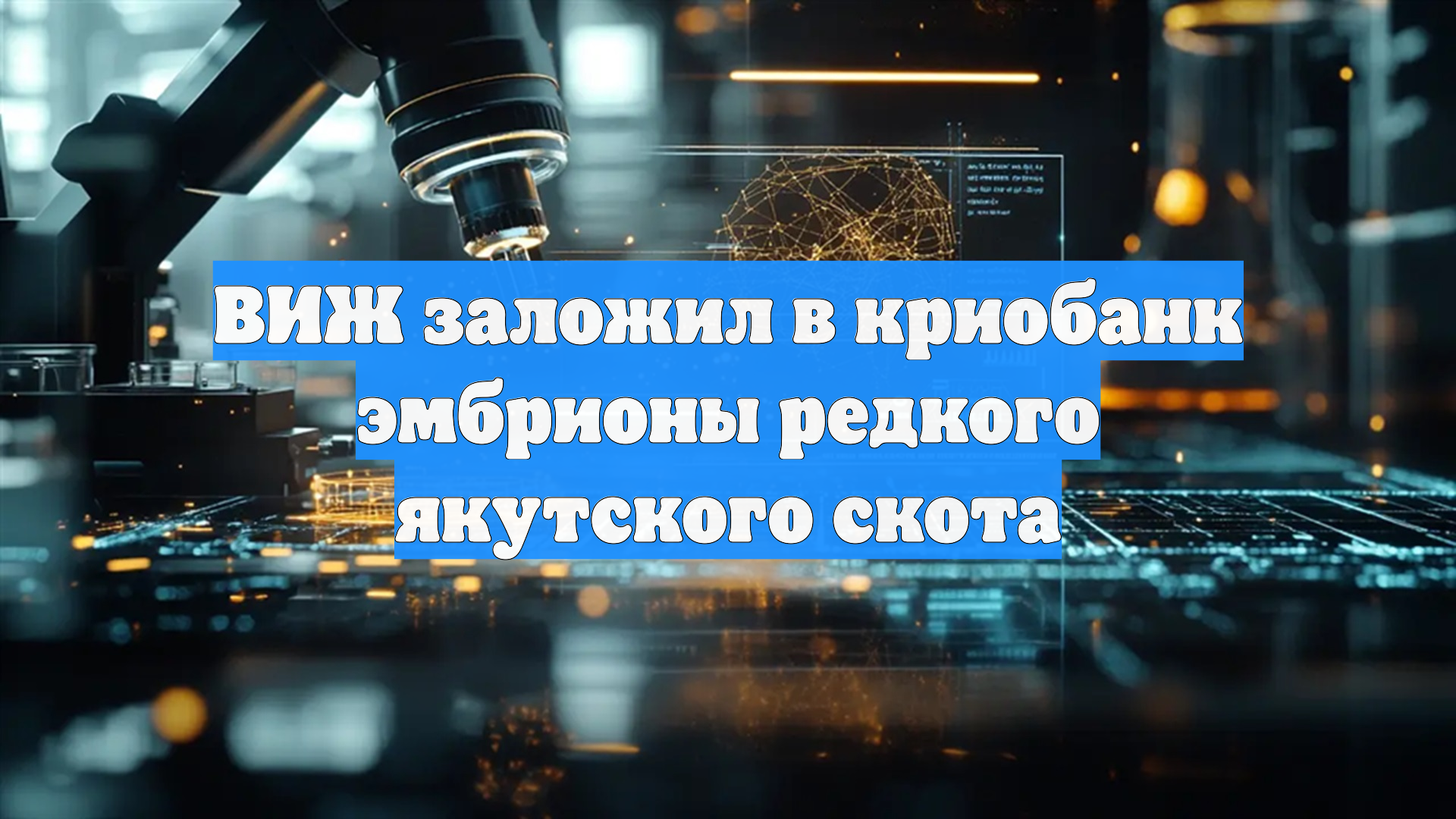 ВИЖ заложил в криобанк эмбрионы редкого якутского скота