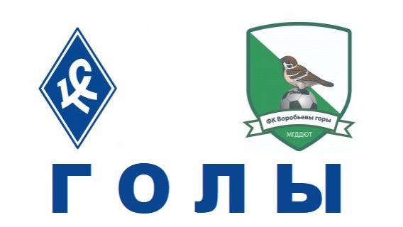 ГОЛЫ Перово - Воробьевы горы2009 0-7 07.02.2026