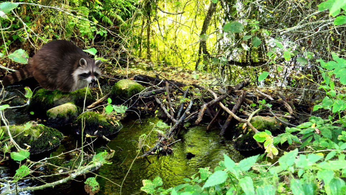Опять любимая река