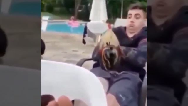 Доброе утро 😛