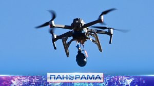 ⚡️Хищные птицы смерти охотятся за детьми: сводка Следственного комитета за неделю!