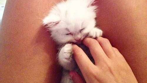 ЭТО БЕЗУМИЕ! Угарная подборка приколов НЕ ПЕЙТЕ ВОДУ ПЕРЕД ПРОСМОТРОМ!Ржака!Лол!Топ Смех Видео №5655 ЭТО БЕЗУМИЕ! Угарная подборка приколов НЕ ПЕЙТЕ ВОДУ ПЕРЕД ПРОСМОТРОМ!Ржака!Лол!Топ Смех Видео №5655