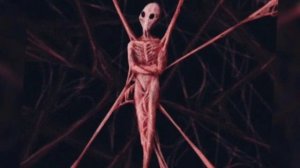 КТО ОН ТАКОЙ? [разбор]