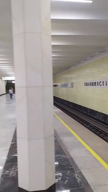 Ст. метро Коломенская, Москва — интерьер, пассажиры, прибытие-отправление поездов  Фрагмент 5