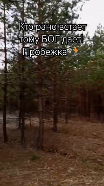Ходи каждый выходной в лес, и продлишь себе жизнь…#лес #жизньвдеревне Ходи каждый выходной в лес, и продлишь себе жизнь…#лес #жизньвдеревне