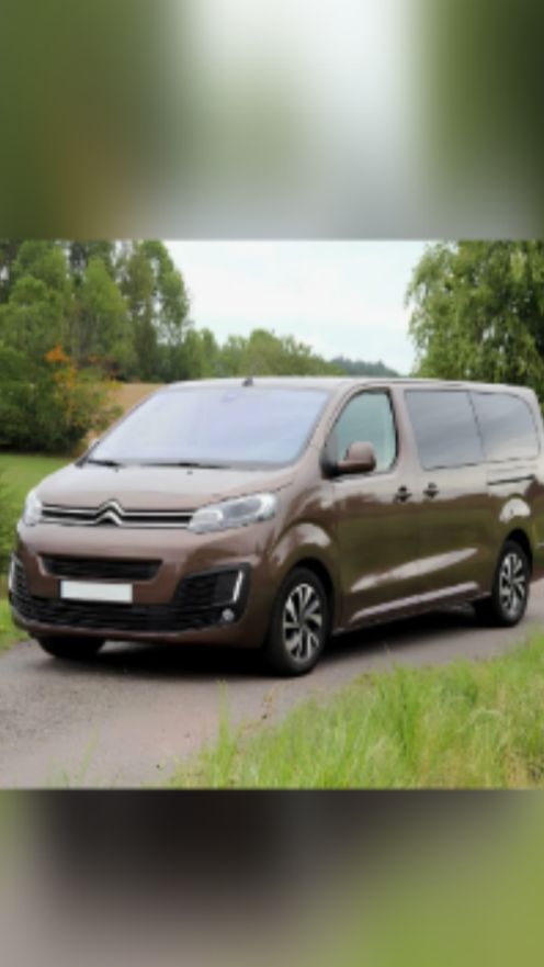 Удалить или промыть сажевый фильтр Citroen Spacetourer