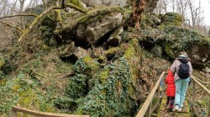 прогулка по мамедке