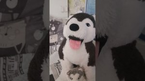 Прощай, мой старший брат Аркан... 
вся правда о его потере, хаски бобик и якутская лайка норд