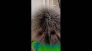 БАСИКИ НА ФИЗКУЛЬТУРЕ | Мульти БАСИКИ новая серия | Физкультура