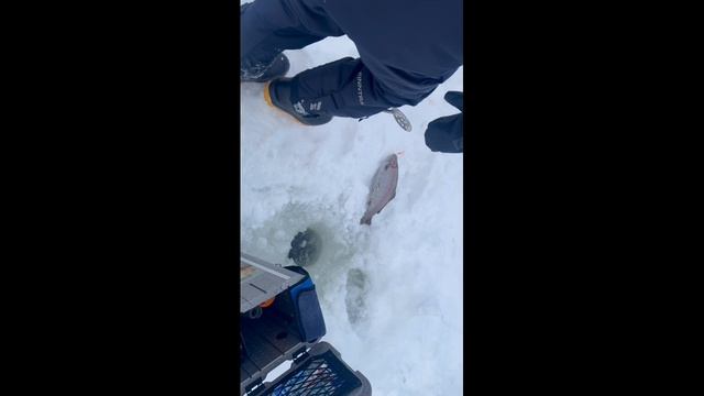 copy_C82CA2A2-02BD-4A70-893F-8205A4B1CECB смотреть онлайн