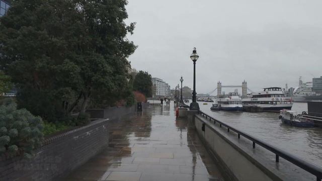 ТУМАННЫЙ АЛЬБИОН ☁️ Путь к Тауэрскому мосту под дождем смотреть онлайн