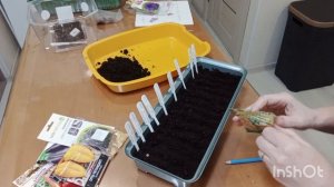 ПОСЕВ СЕМЯН НА РАССАДУ.