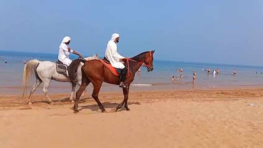 На пляже в Эмиратах смотреть онлайн