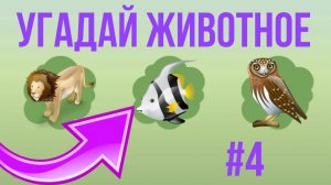 Детские забавы - угадай животное #4 | Развивающие игры для детей