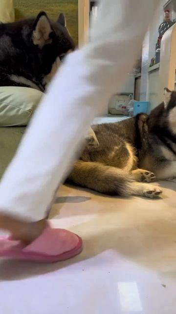 Опасная группировка