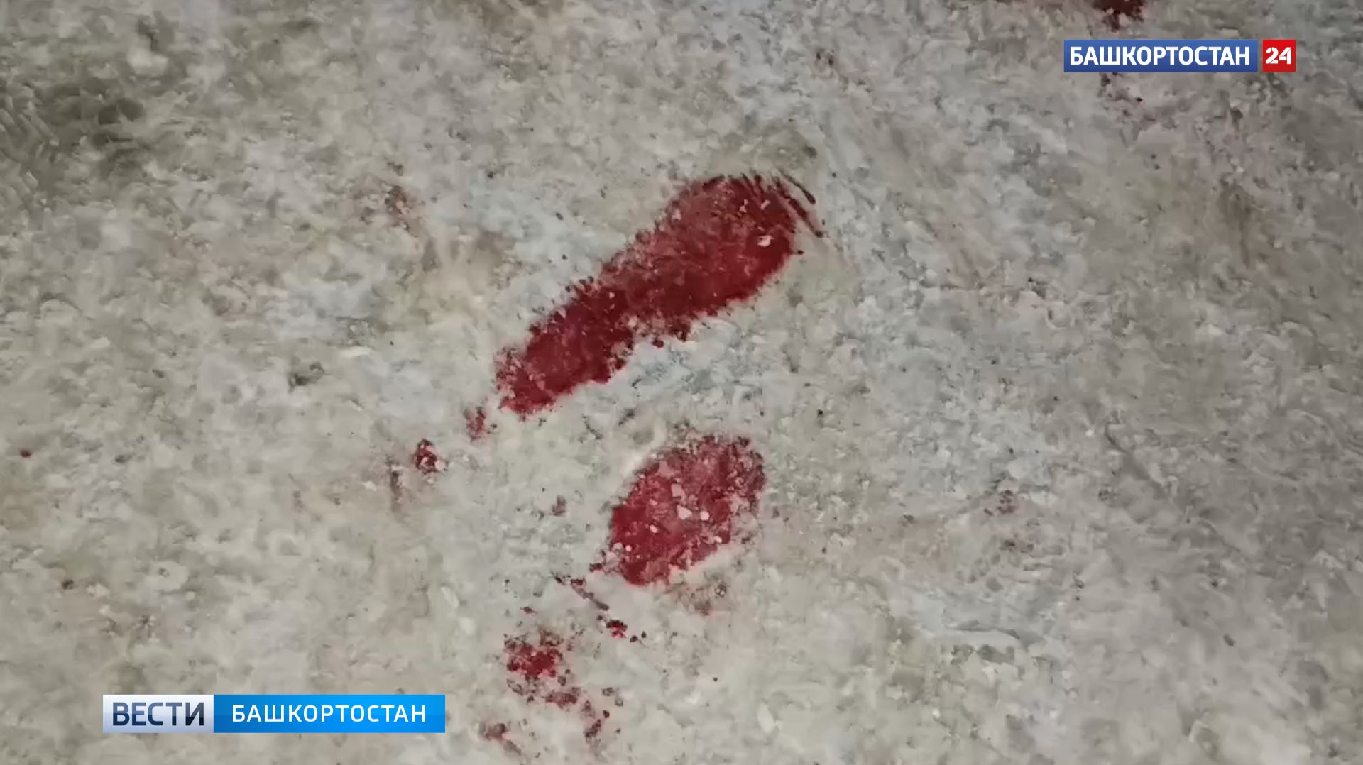 Журналисты «Вестей» прибыли к общежитию в Уфе, где подросток с ножом ранил шесть человек смотреть онлайн