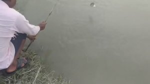 ЛОВЛЯ РЫБЫ НА НАЖИВКУ