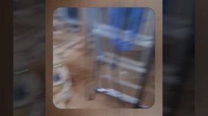 1000048036.mp4 (Собака наблюдает за устройством лестницы на 2 этаж в доме А-фрейм)