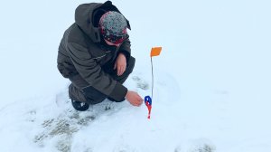 Рыбалка на жерлицы и в палатке на плотву в глухозимье