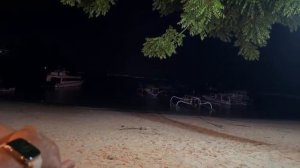 СТРИМ: ЗАНЕСЛО НА ОСТРОВ 🏝️😱