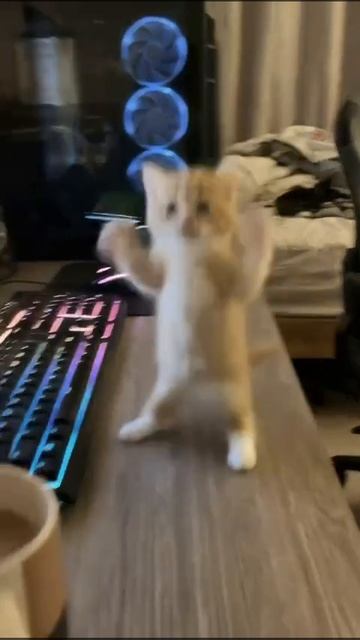 Хейтеры скажут нейросеть