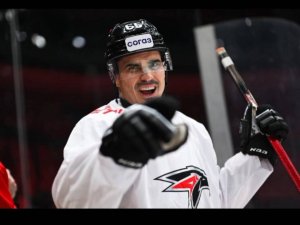 наши звёзды