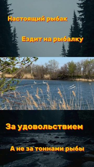 😌 #рыбалка #shorts #шортс #интересно #рыба 😌 #рыбалка #shorts #шортс #интересно #рыба