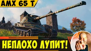 AMX 65 t | Неплохо Лупит - Его Часто Недооценивают)