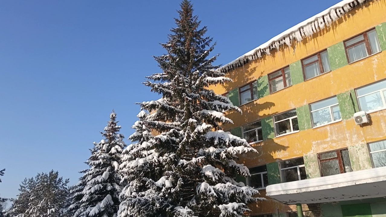 Чудо чудное диво дивное. Чудо чудное диво дивное.