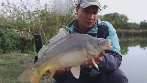 Тут рыба ловится хорошо, есть и бонусы караси и карп клюёт