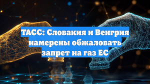 ТАСС: Словакия и Венгрия намерены обжаловать запрет на газ ЕС