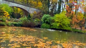 🎸🥀Классная песня "Иволга" ✨Песня о любви...💞💞💞 The Natural World  /Bayern/
