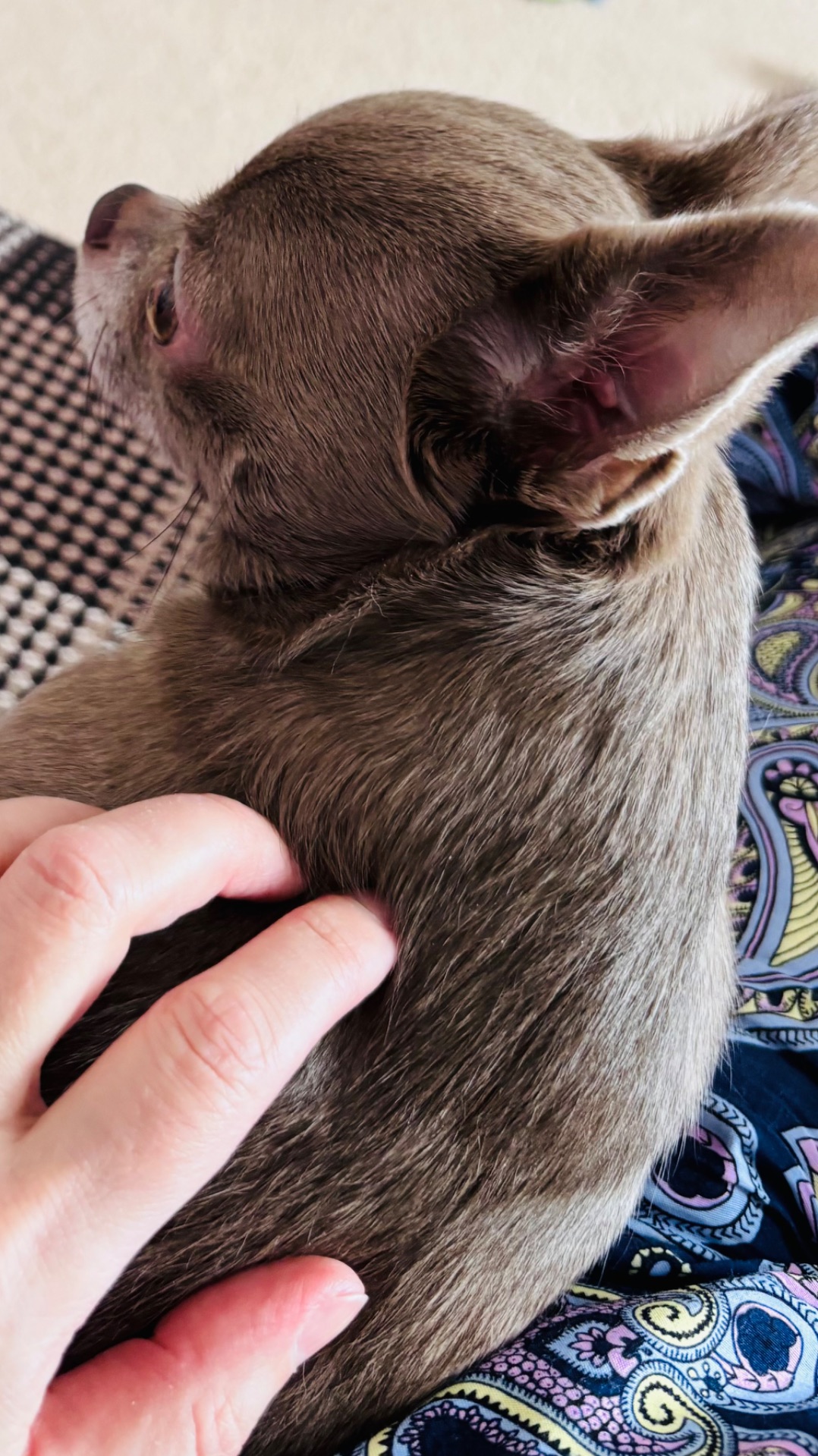 Как справиться с эмоциями? — понять свои триггеры и личный смысл.