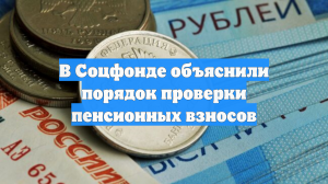 В Соцфонде объяснили порядок проверки пенсионных взносов