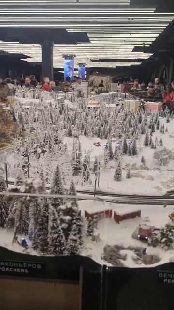 1000009540.mp4Санкт-Петербург.07.02.2026г.