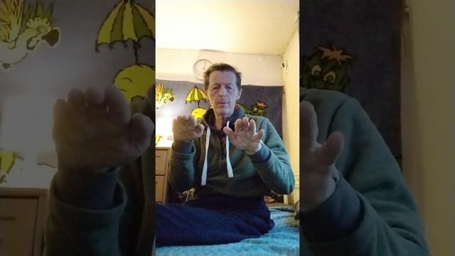 VID_20260207_080157.mp4 гипер активный баран